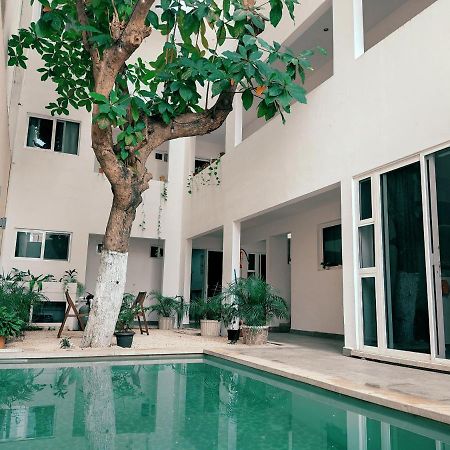 Cozy Studios Zazil-Ha Playa del Carmen Kültér fotó