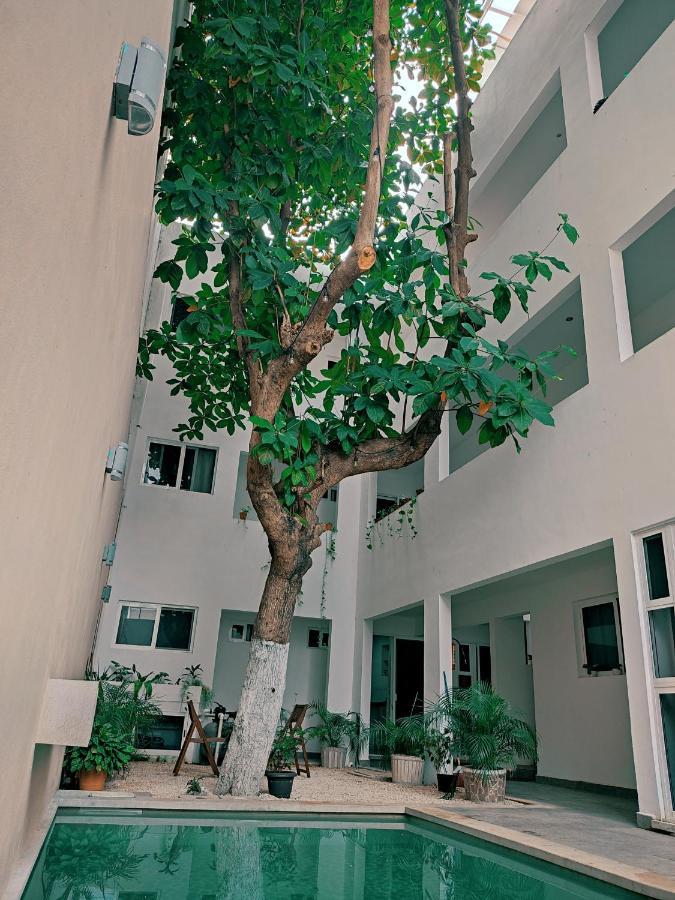 Cozy Studios Zazil-Ha Playa del Carmen Kültér fotó