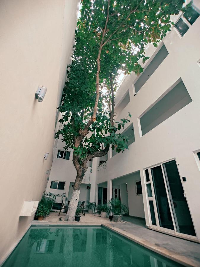 Cozy Studios Zazil-Ha Playa del Carmen Kültér fotó