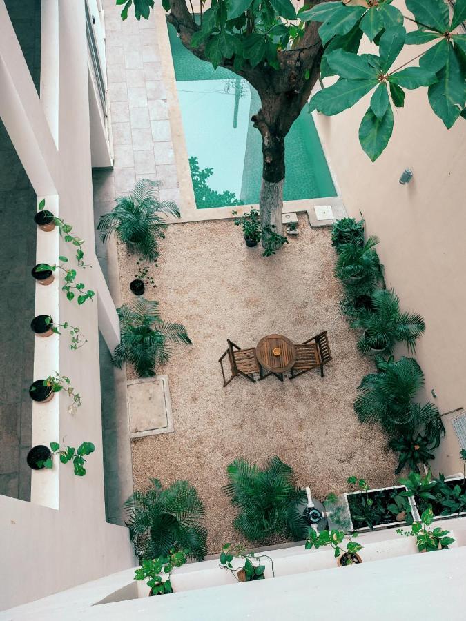 Cozy Studios Zazil-Ha Playa del Carmen Kültér fotó
